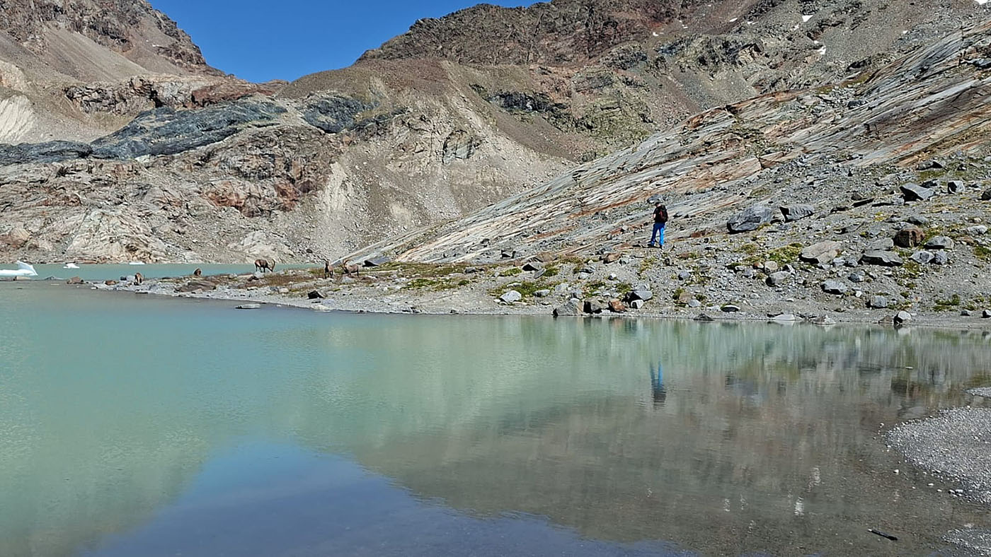 Ghiacciaio Fellaria - Valmalenco