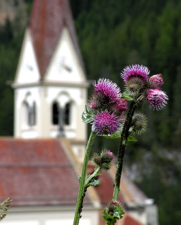 ../Foto/Foto_di_altri/alessandro_santulli.jpg