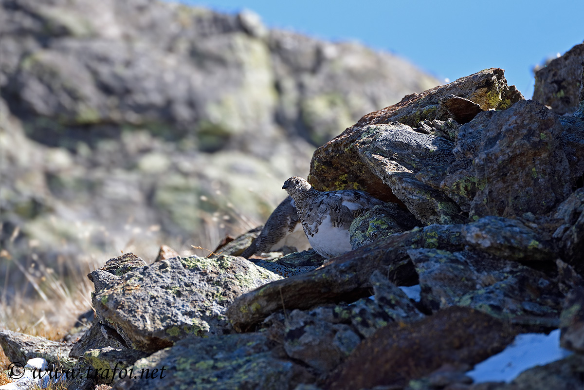 Incontri/008916_D750.jpg