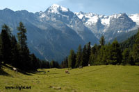 Primavera-Estate/017ter2.jpg