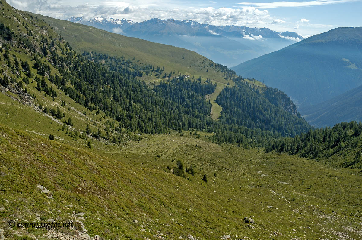 ../Primavera-Estate/019bis.jpg