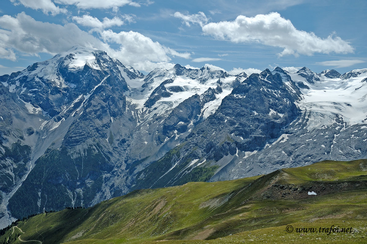 ../Primavera-Estate/040bis.jpg
