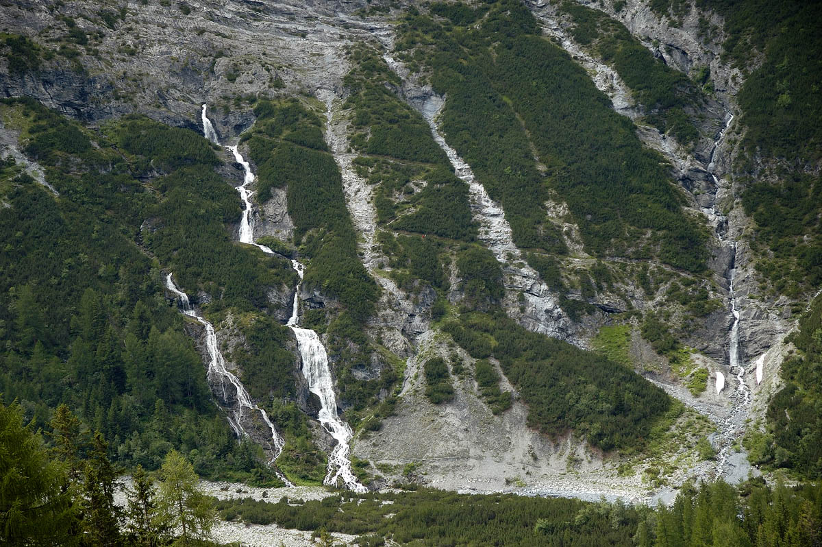 ../Primavera-Estate/1278bis.jpg