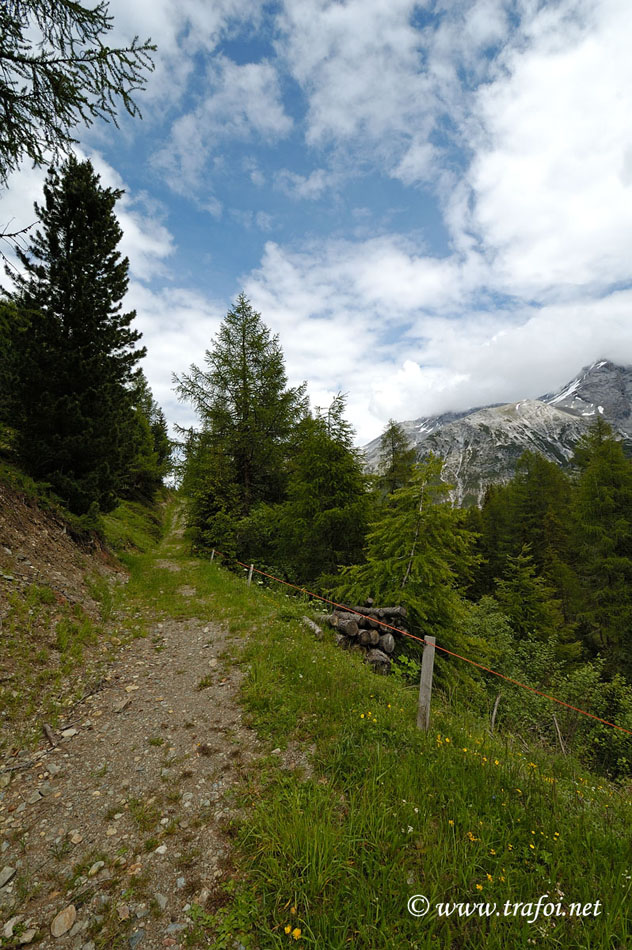 ../Primavera-Estate/3048bis.jpg