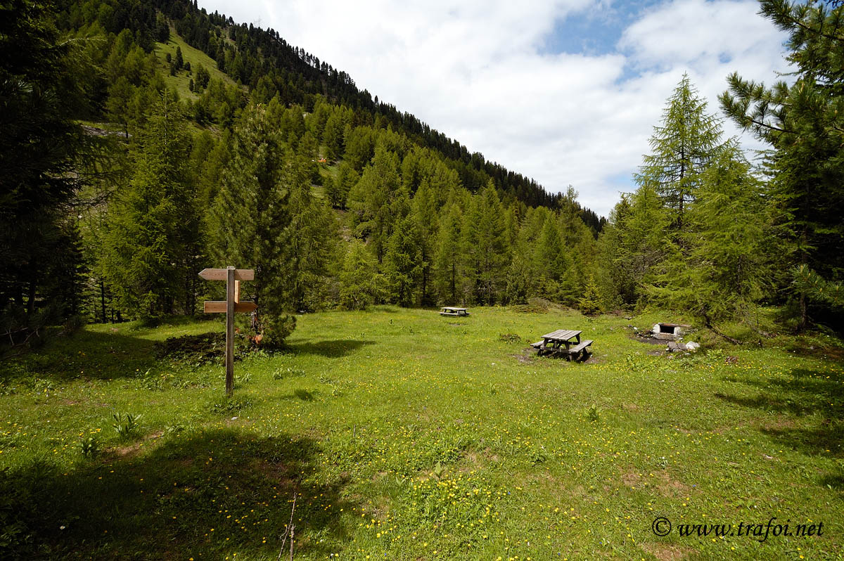 ../Primavera-Estate/3056bis.jpg