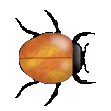 Sfondi%20scritte%20figure/83.gif