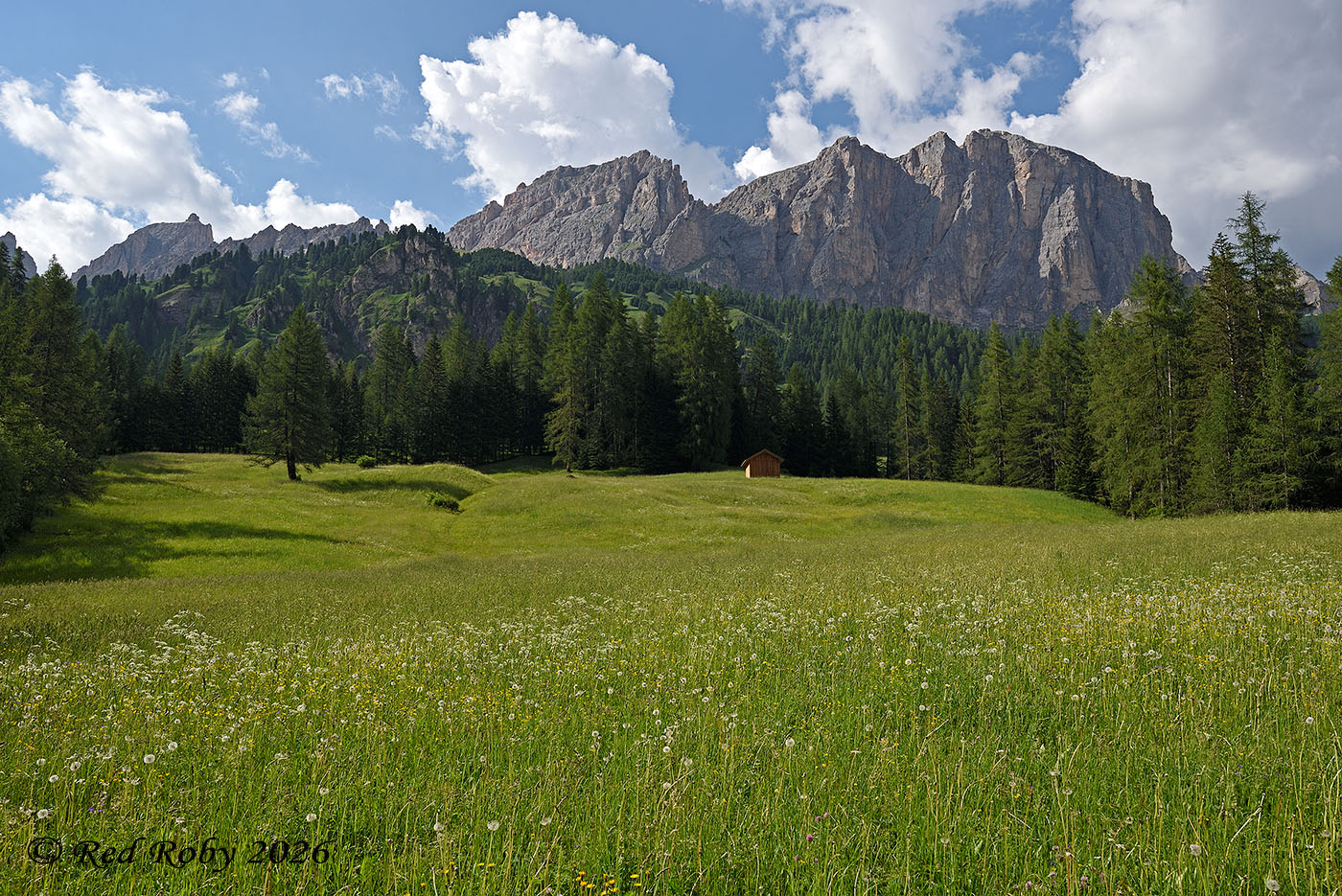 Dolomiti - Cascate Pisciad�