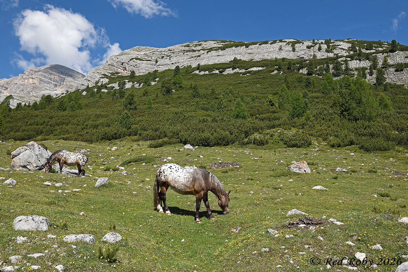 Dolomiti - Fanes