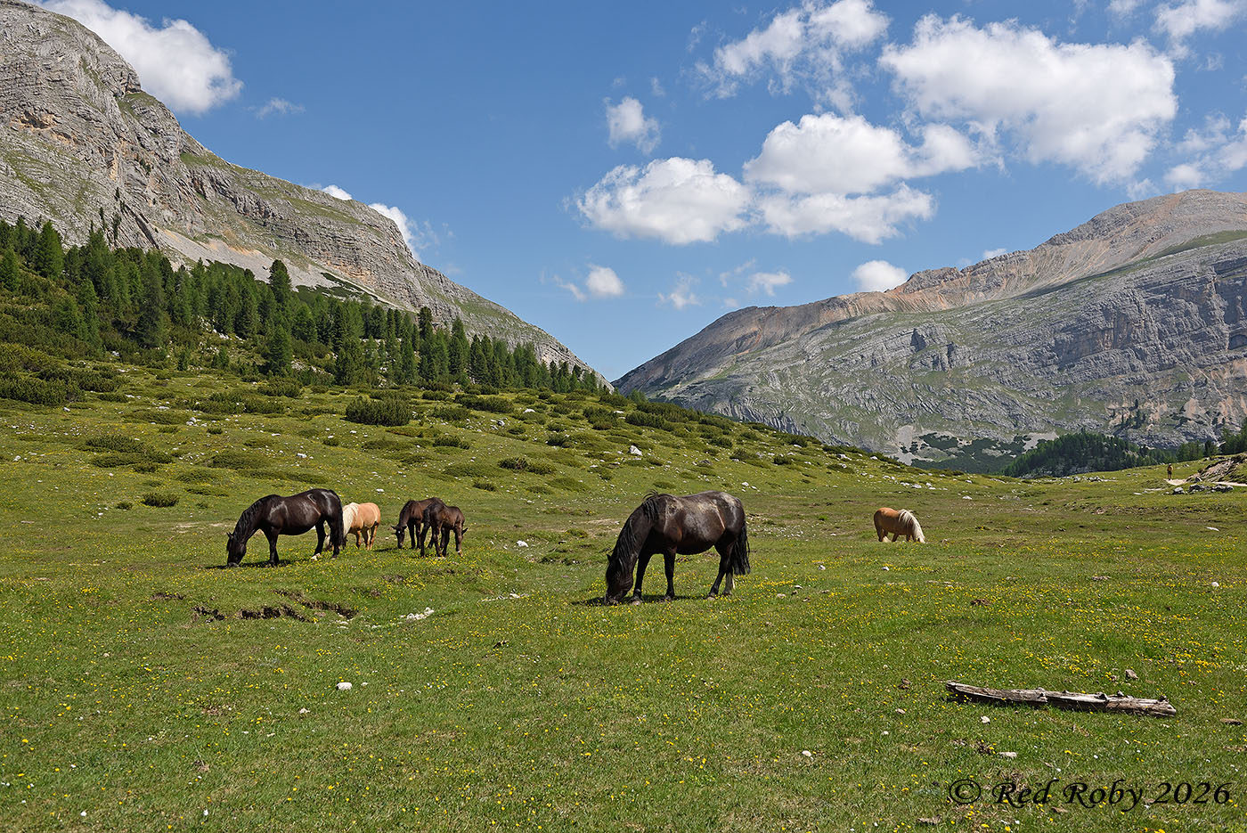 Dolomiti - Fanes