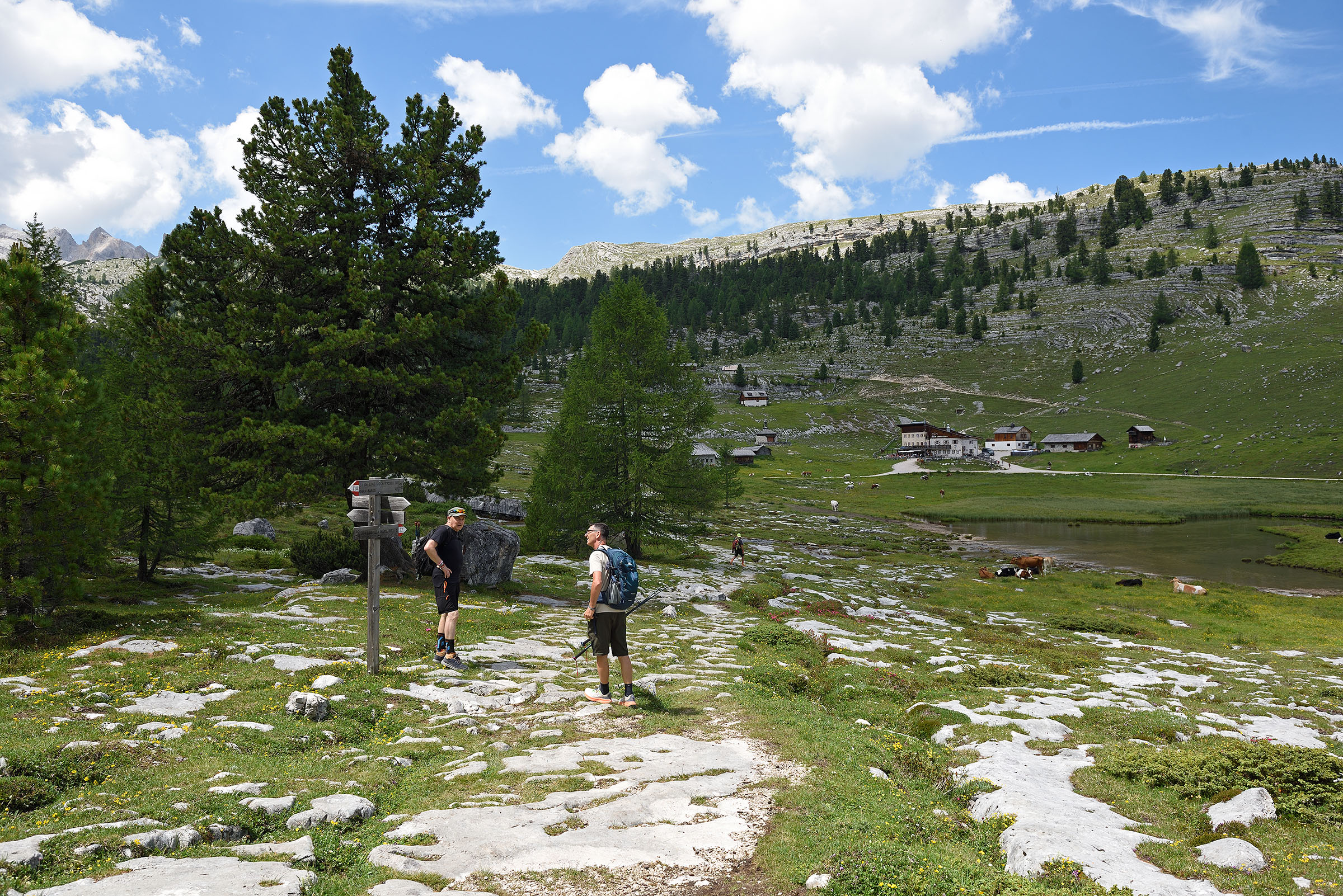 Dolomiti - Fanes