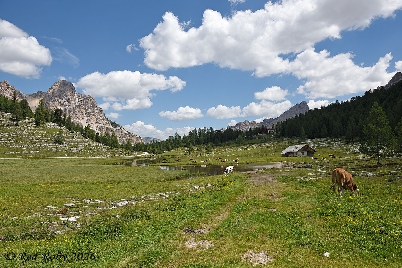 Dolomiti - Malga Fanes Piccola
