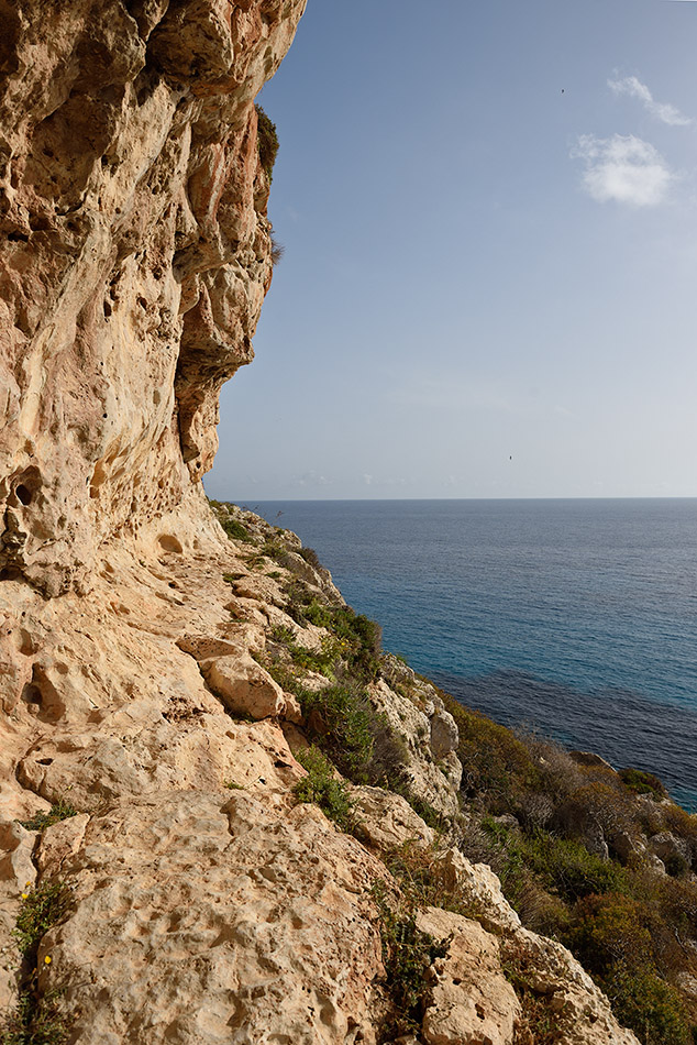 ../Viaggi/Lampedusa/Lampedusa_006845.jpg