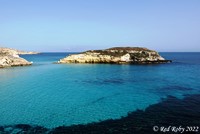 ../Viaggi/Lampedusa/Lampedusa_006867ter.jpg