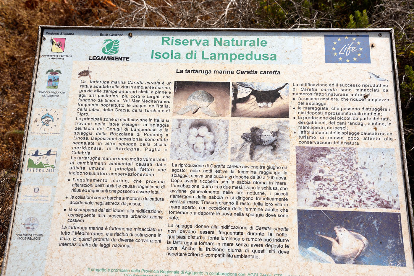 ../Viaggi/Lampedusa/Lampedusa_007257.jpg