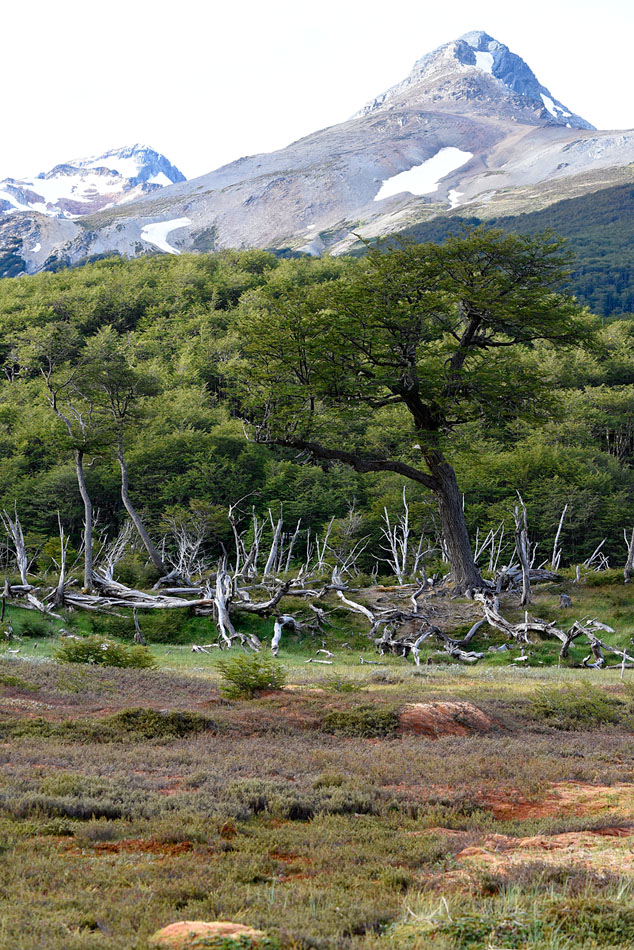 ../Patagonia/Castori_0368.jpg