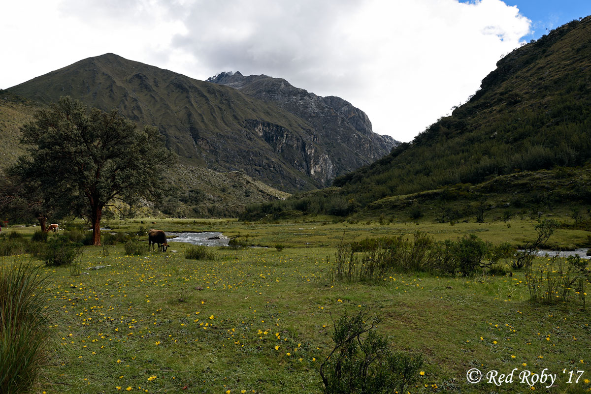 ../Peru/Laguna_69_22917.jpg