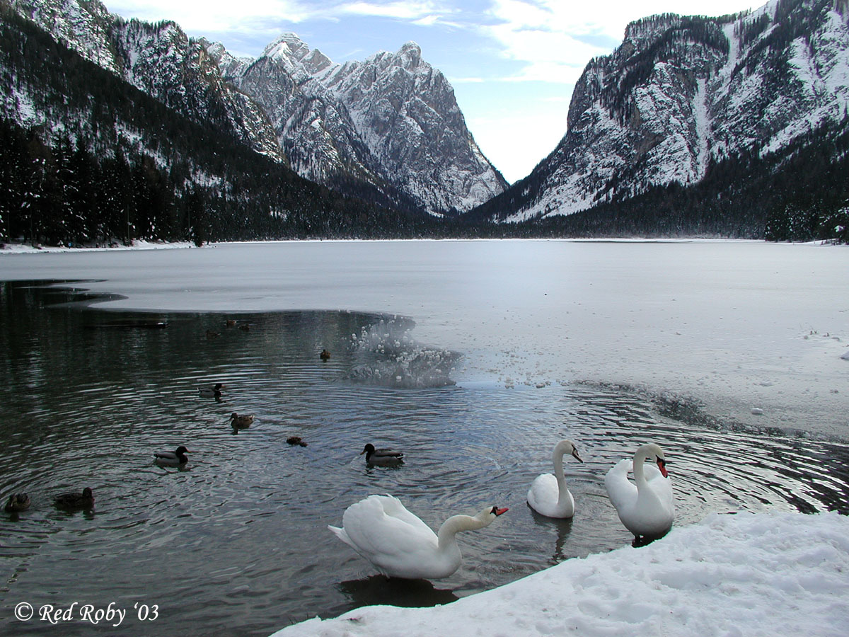 ../Viaggi/Val_Pusteria/02.jpg
