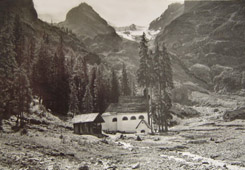 1964