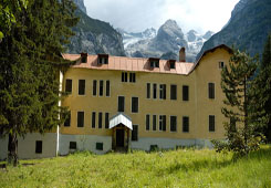 2010