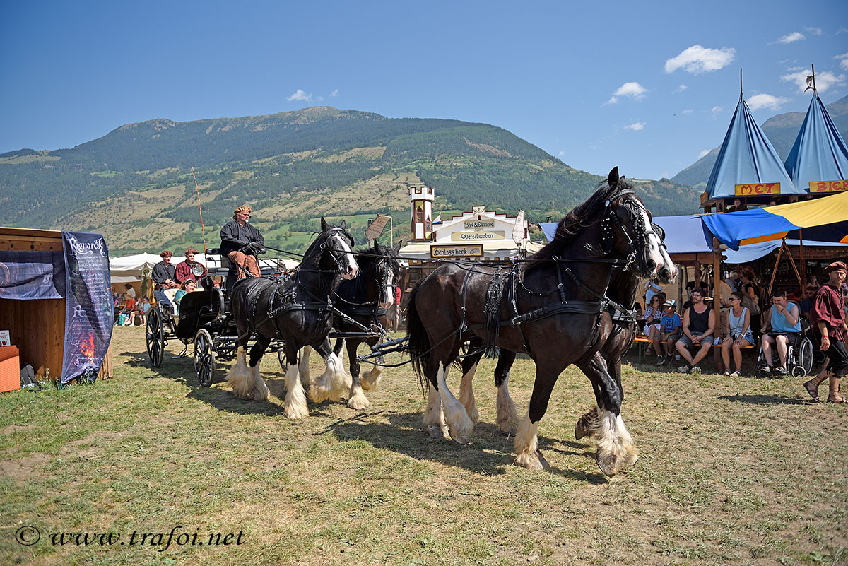 ../Costumi/Giochi_Medievali/009936_D750.jpg