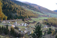 Gomagoi