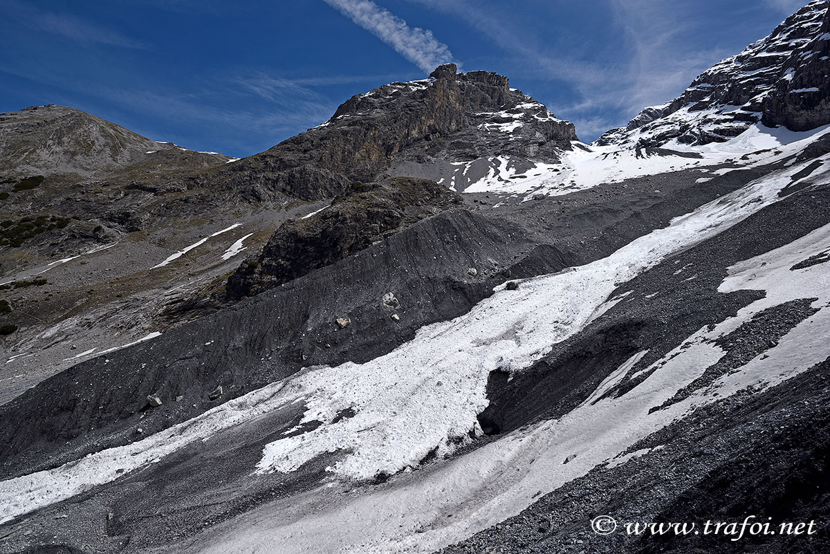 ../Escursioni2/Borletti_Rododendro/010846_D750.jpg