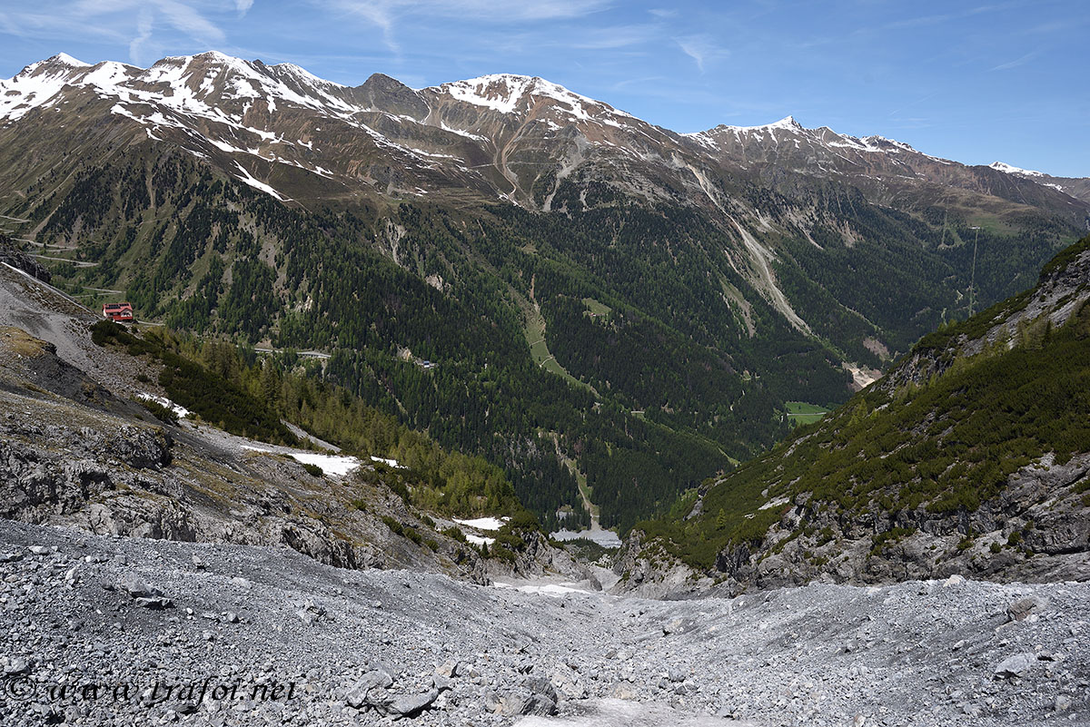 ../Escursioni2/Borletti_Rododendro/010853_D750.jpg