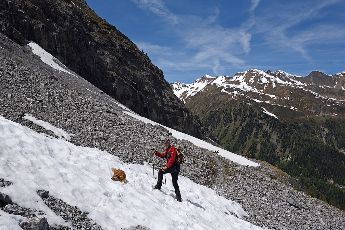 ../Escursioni2/Borletti_Rododendro/010856_D750.jpg