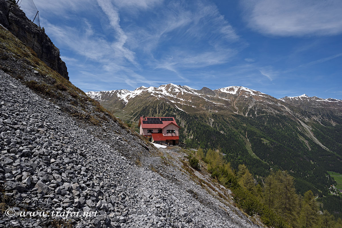 ../Escursioni2/Borletti_Rododendro/010860_D750.jpg
