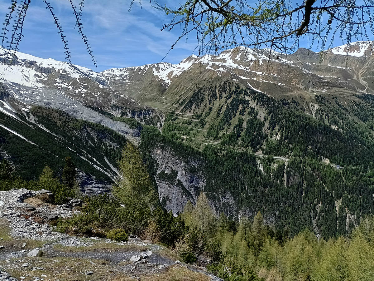 ../Escursioni2/Borletti_Rododendro/IMG20250530125426.jpg