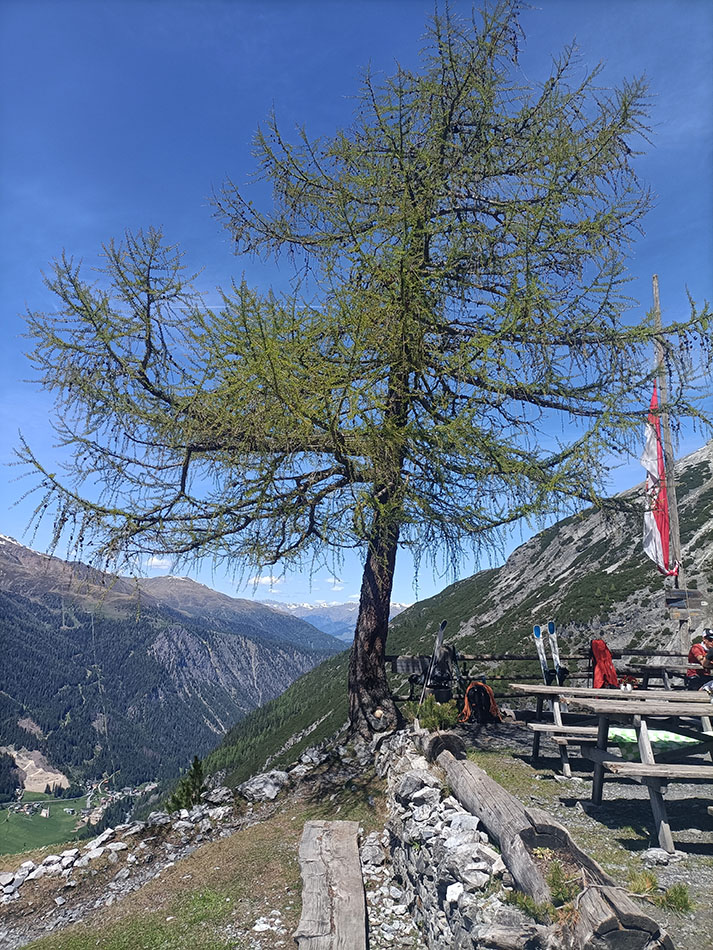 ../Escursioni2/Borletti_Rododendro/IMG20250530143604.jpg
