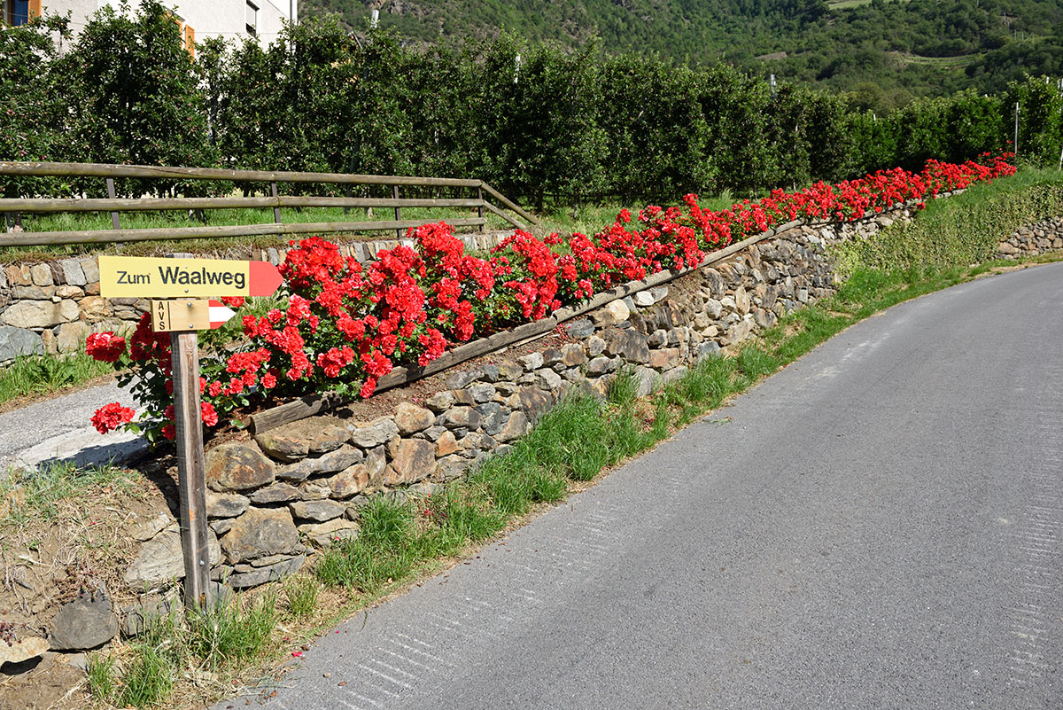 Sentiero della roggia Ciardes