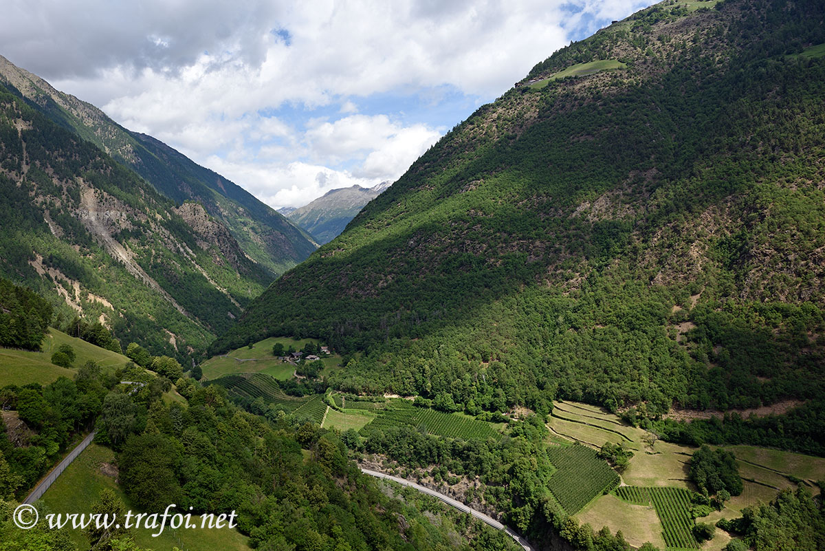 Castel Juval