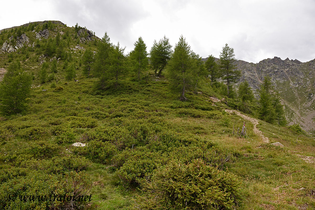 ../Escursioni2/Laces/011389_D750.jpg