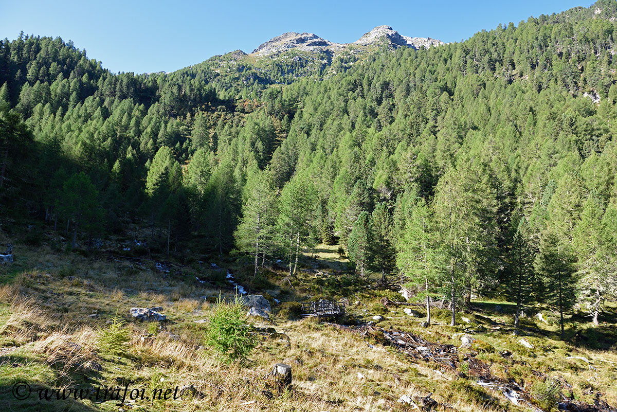 ../Escursioni2/Laces/012242_D750.jpg