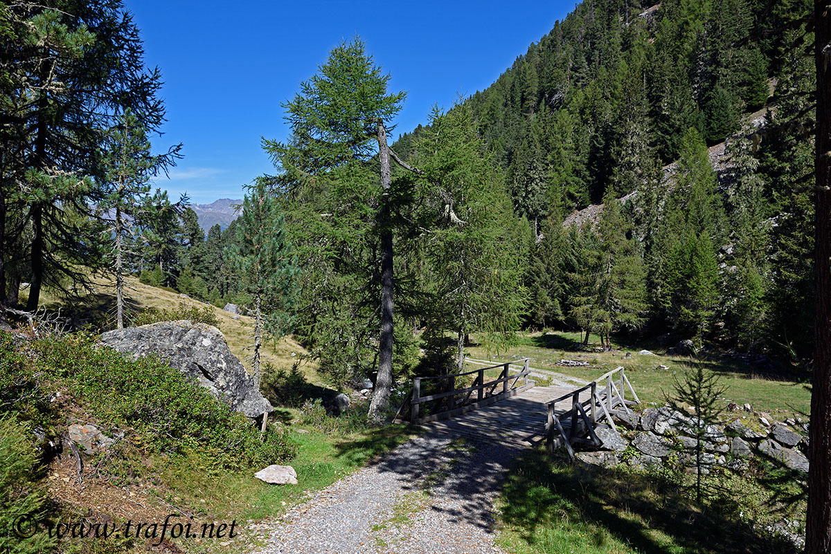 ../Escursioni2/Laces/012282_D750.jpg