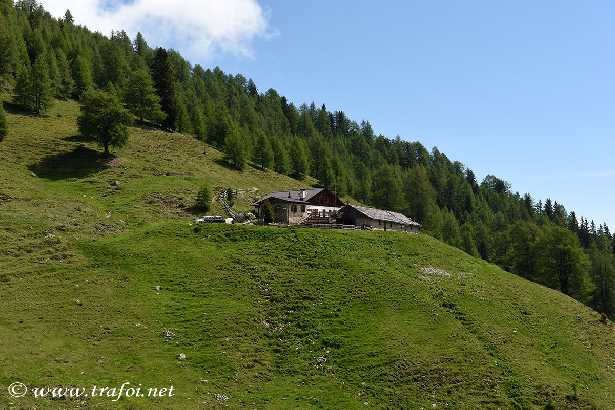 ../Escursioni2/Malga_Stelvio/007579__D750.jpg