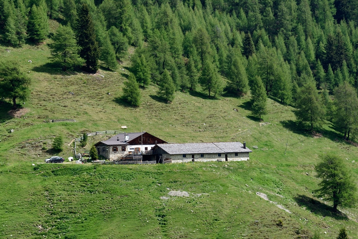 ../Escursioni2/Malga_Stelvio/007585__D750.jpg