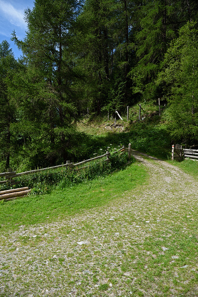 ../Escursioni2/Malles/011225_D750.jpg