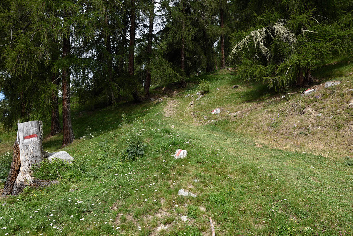 ../Escursioni2/Malles/011230_D750.jpg