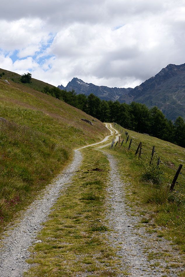 ../Escursioni2/Malles/011248_D750.jpg