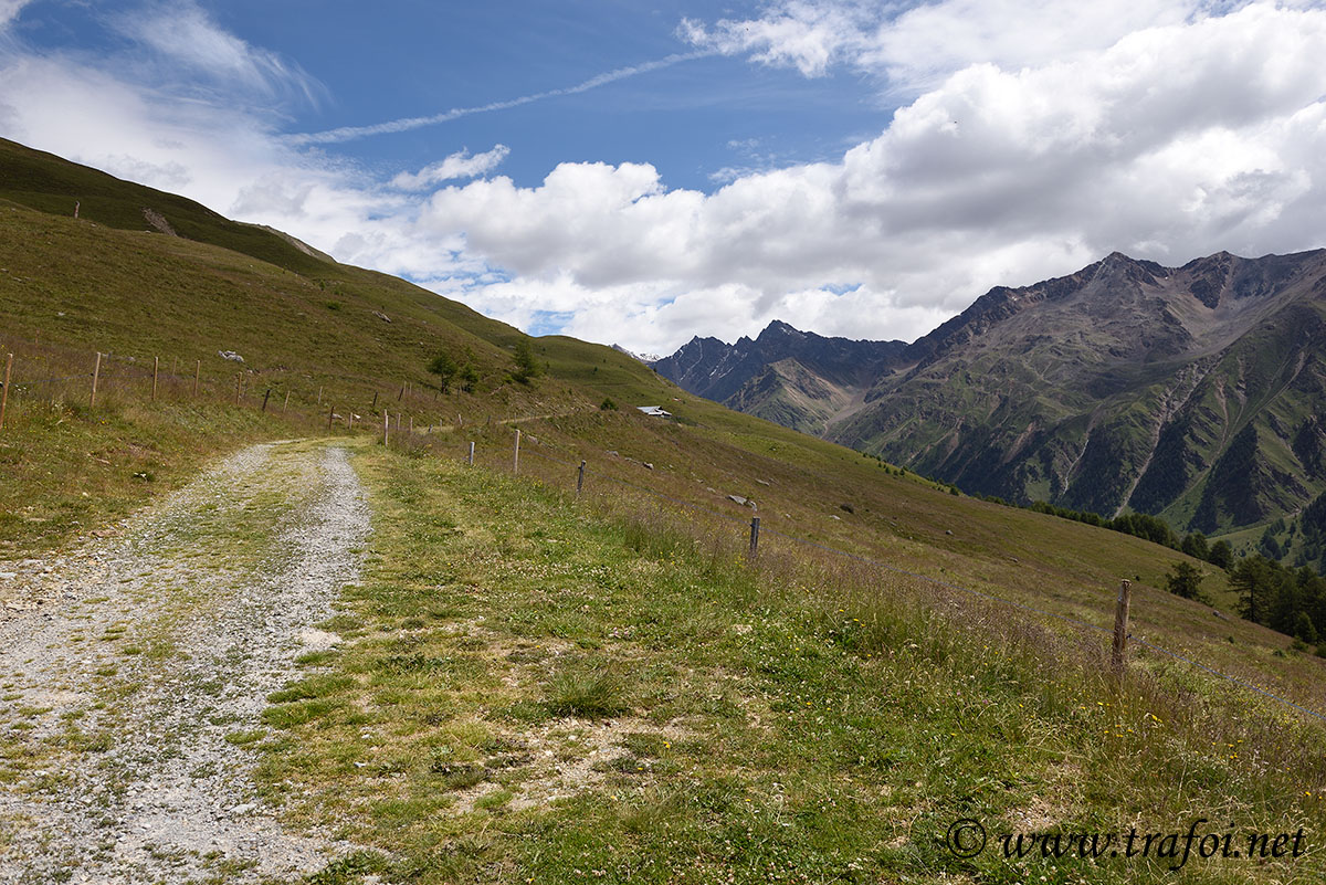 ../Escursioni2/Malles/011249_D750.jpg