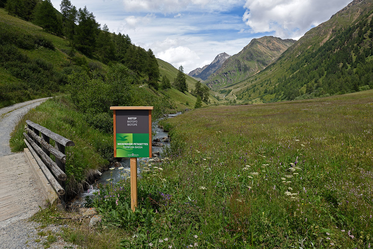 ../Escursioni2/Malles/011287_D750.jpg