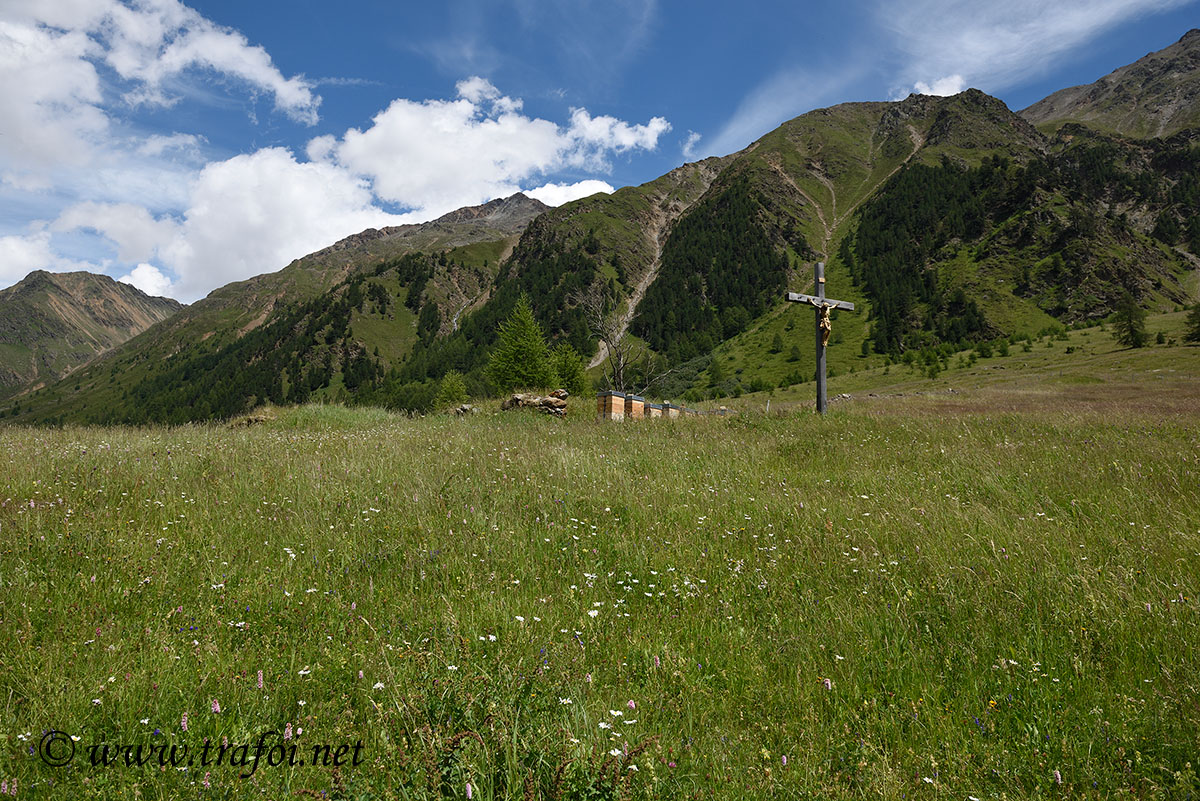 ../Escursioni2/Malles/011293_D750.jpg