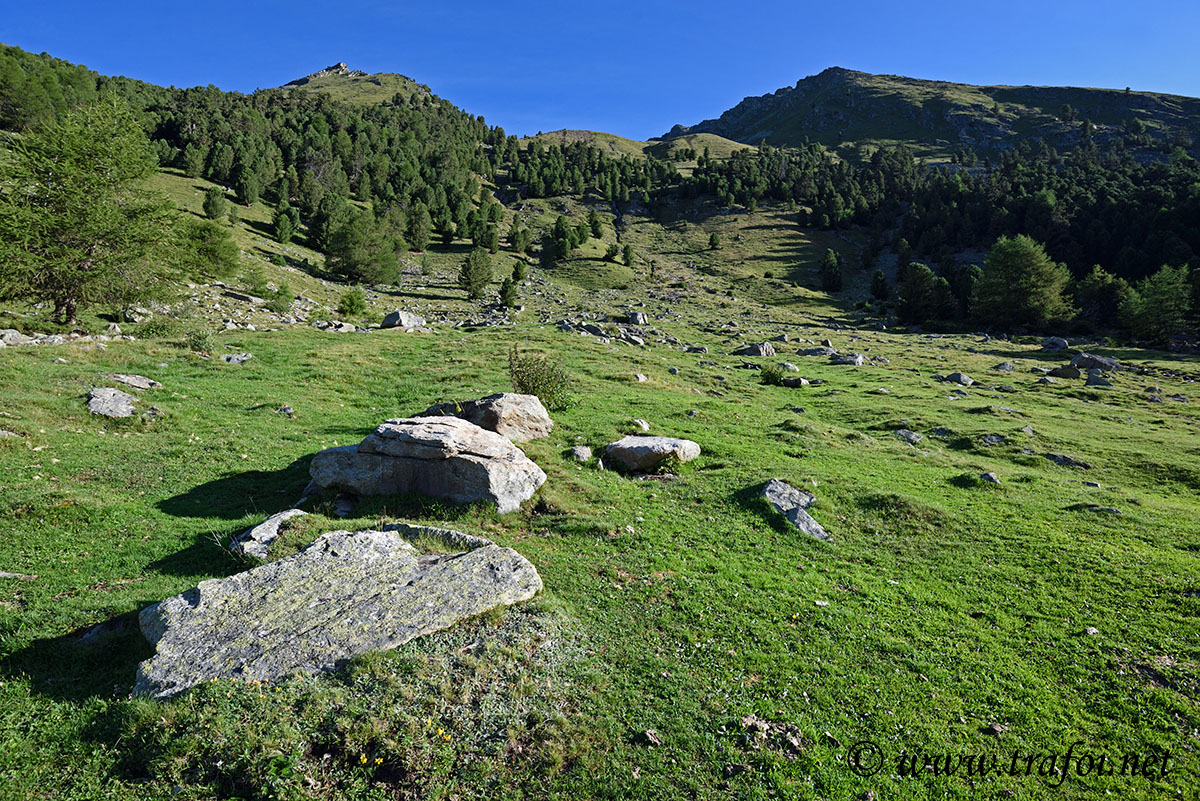 ../Escursioni2/Malles/011435_D750.jpg