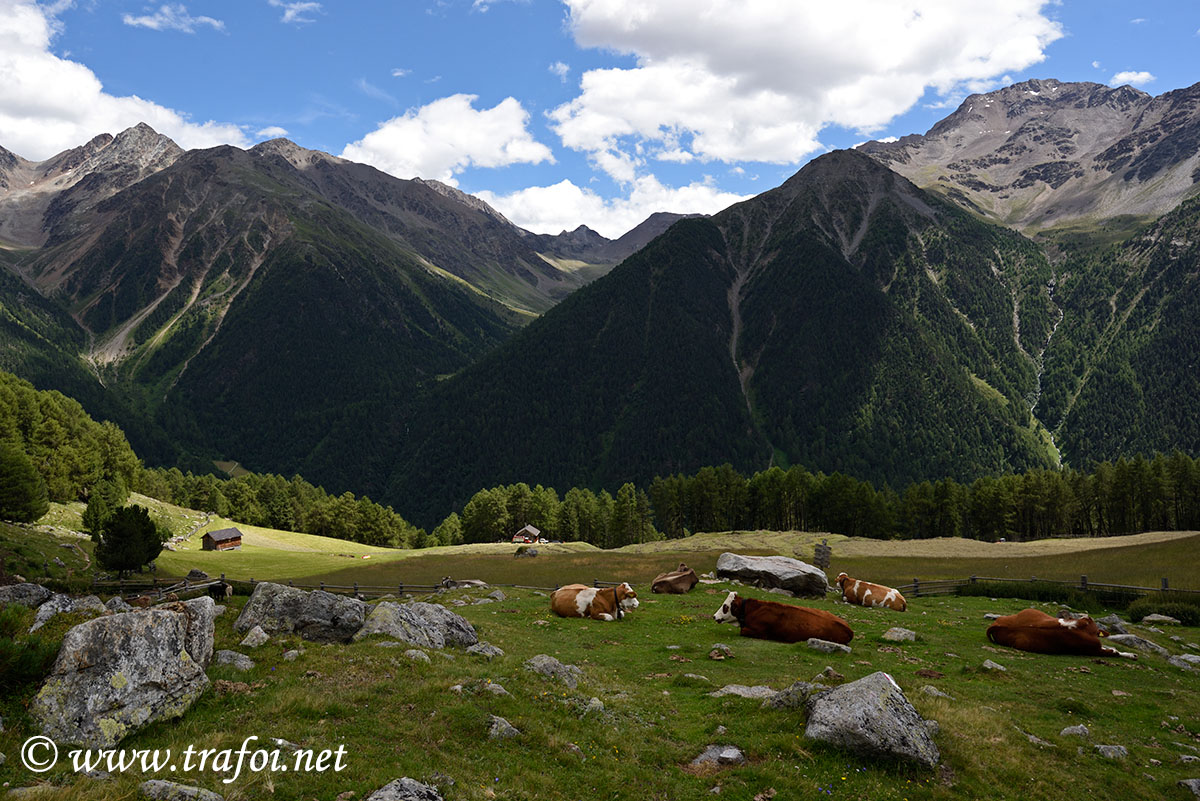 ../Escursioni2/Malles/011533_D750.jpg