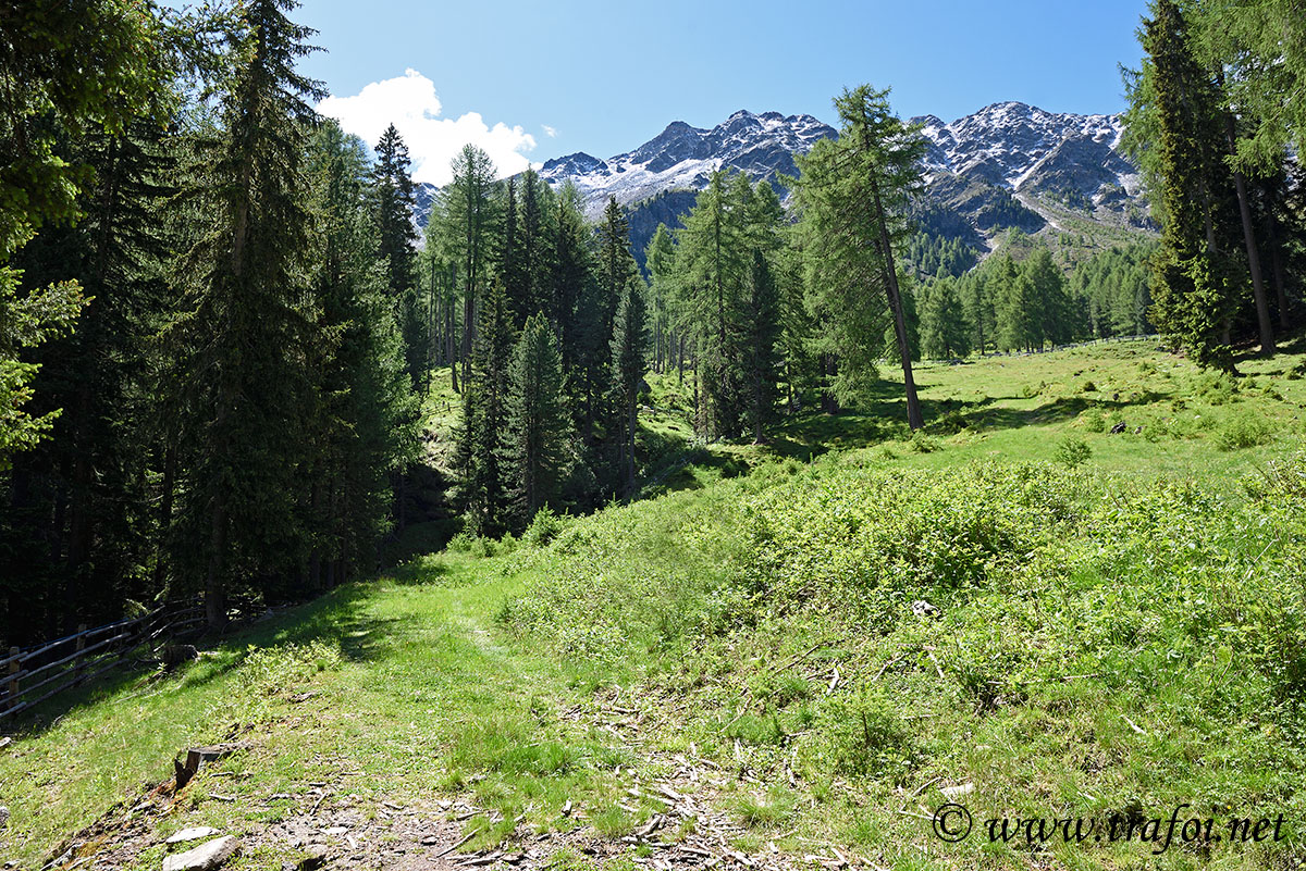 Sentiero Malghe Naturno