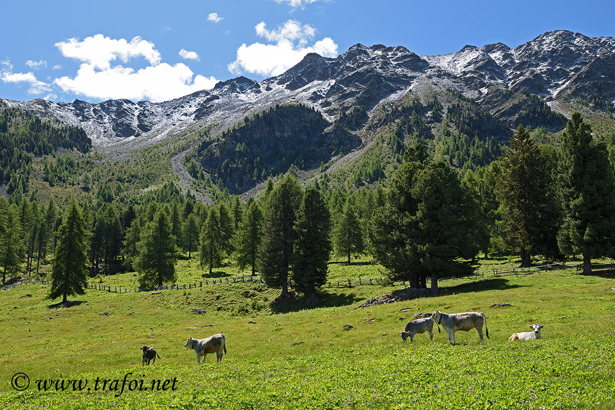Sentiero Malghe Naturno
