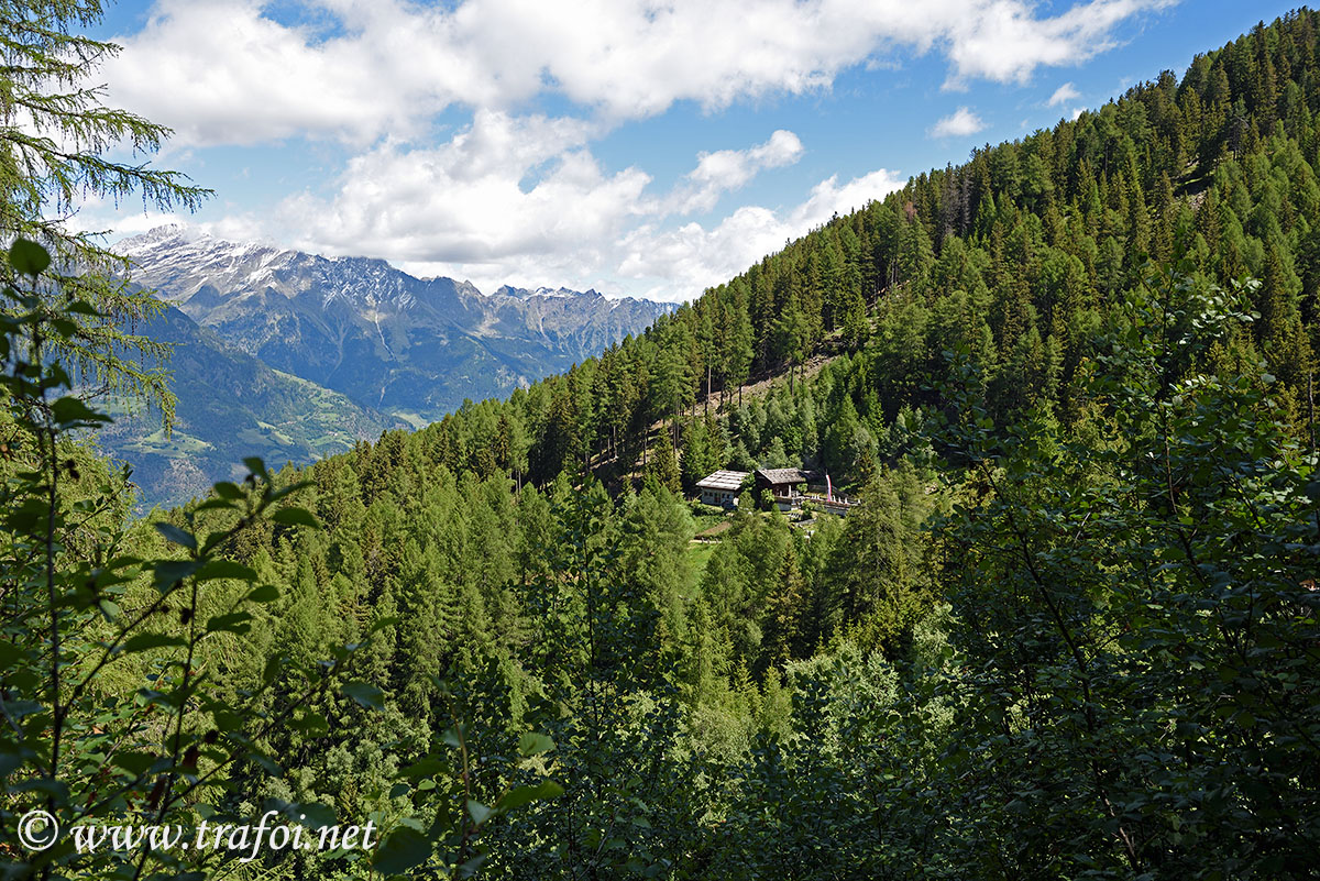 Sentiero Malghe Naturno