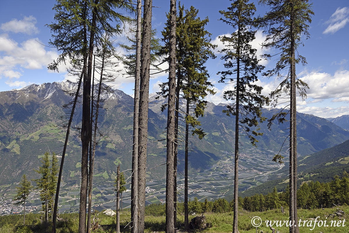 Sentiero Malghe Naturno